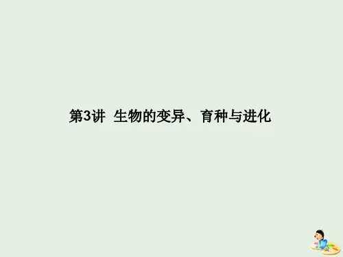 2020版高考生物二轮复习专题四遗传、变异与进化3生物的变异、育种与进化课件