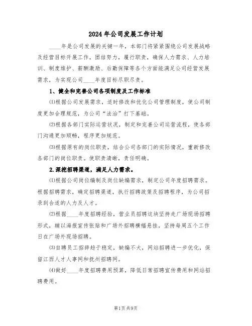 2024年公司发展工作计划（3篇）