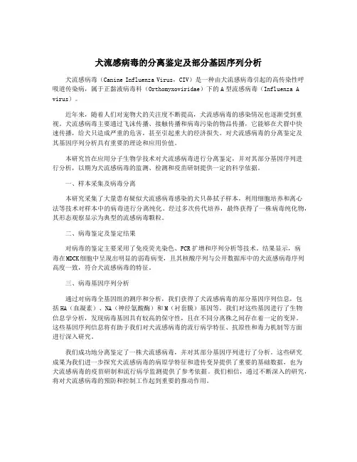 犬流感病毒的分离鉴定及部分基因序列分析