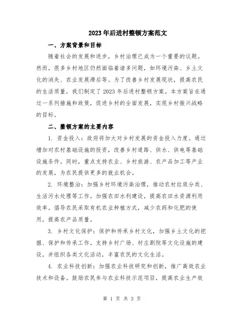 2023年后进村整顿方案范文