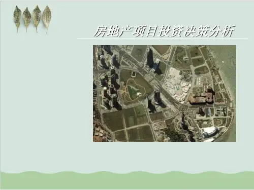 房地产项目投资决策分析 PPT课件( 30页)