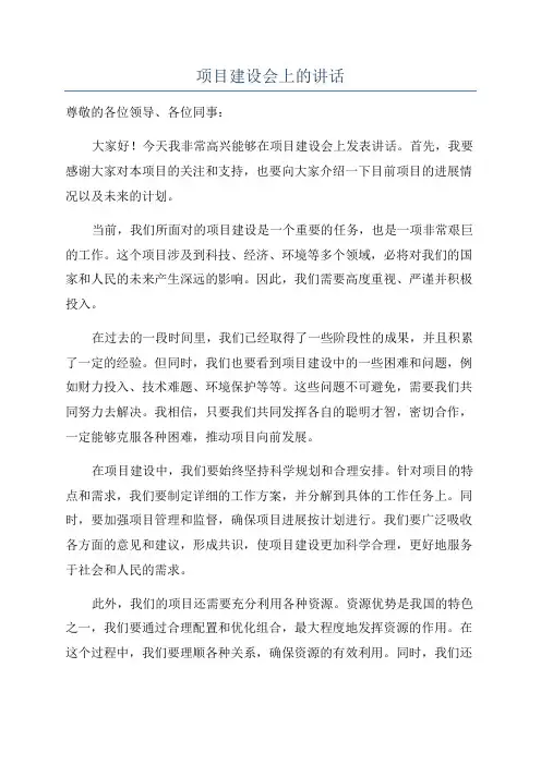 项目建设会上的讲话