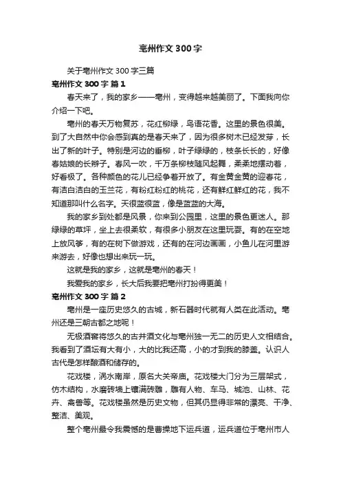 关于亳州作文300字三篇