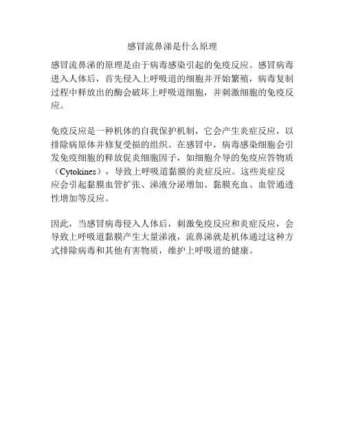 感冒流鼻涕是什么原理
