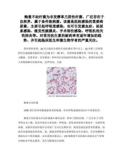 鲍曼不动杆菌为非发酵革兰阴性杆菌