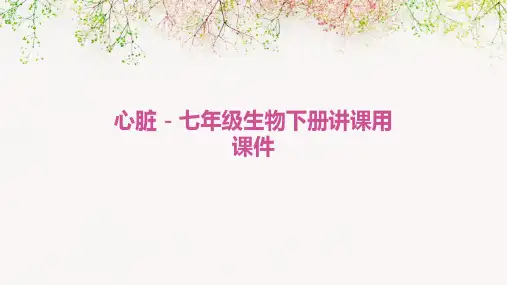 心脏七年级生物下册讲课用课件
