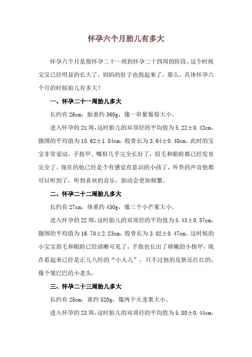 怀孕六个月胎儿有多大
