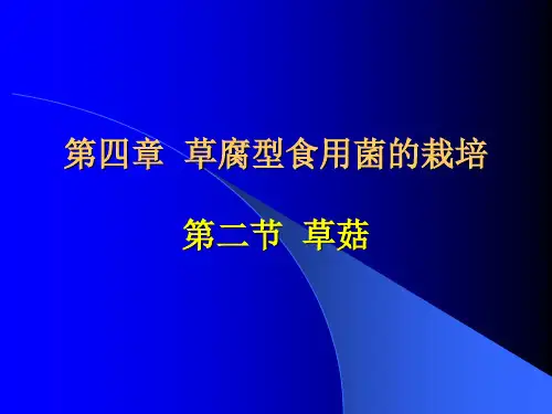第四章 草菇、鸡腿菇