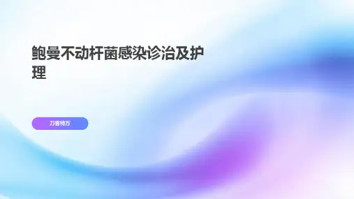 鲍曼不动杆菌感染诊治及护理
