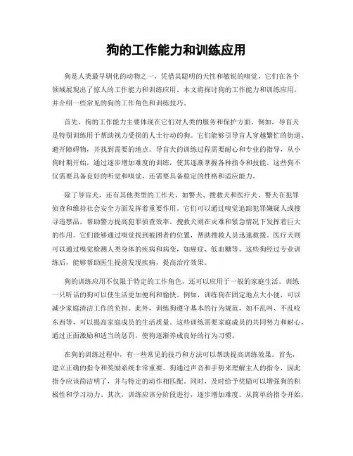 狗的工作能力和训练应用