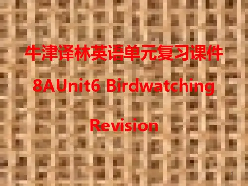 牛津译林英语8AUnit-6-Birdwatching单元复习ppt课件