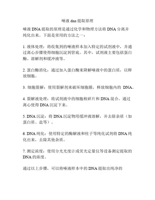 唾液dna提取原理