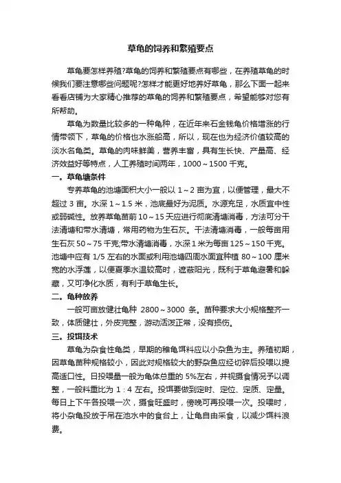 草龟的饲养和繁殖要点