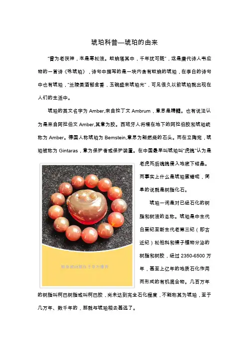 琥珀科普琥珀的由来