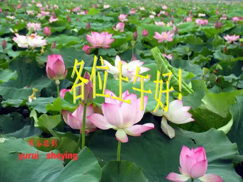 《食品营养学》课件绪论