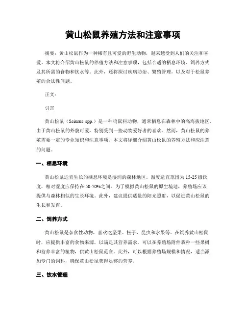 黄山松鼠养殖方法和注意事项