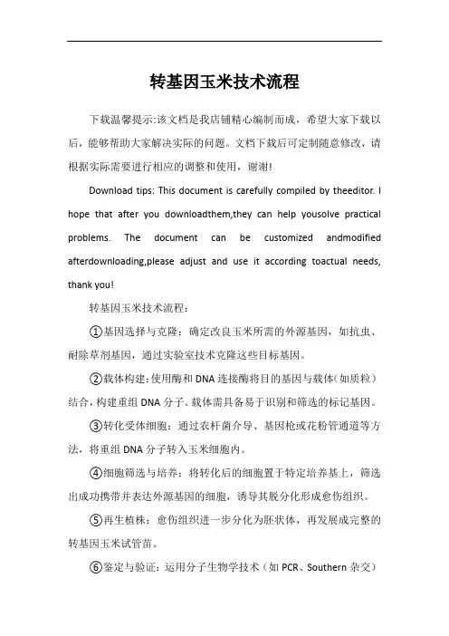 转基因玉米技术流程