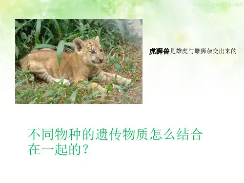 生物的遗传、变异和进化