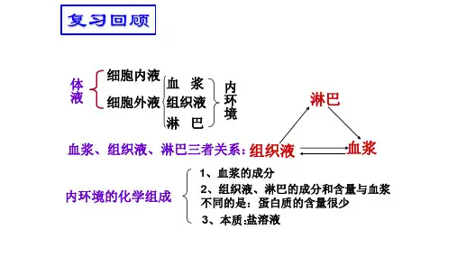 (新教材)人教版(2019)高中生物 选择性必修1 1.2 内环境的稳态  课件(共33张PPT)