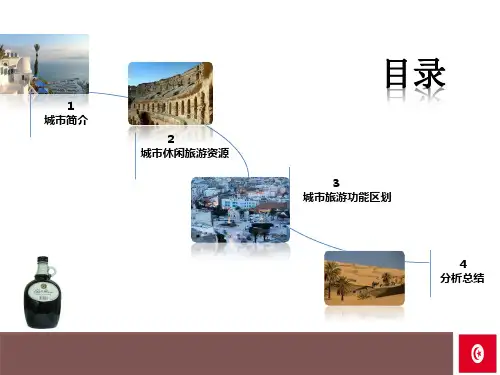 突尼斯市介绍PPT资料