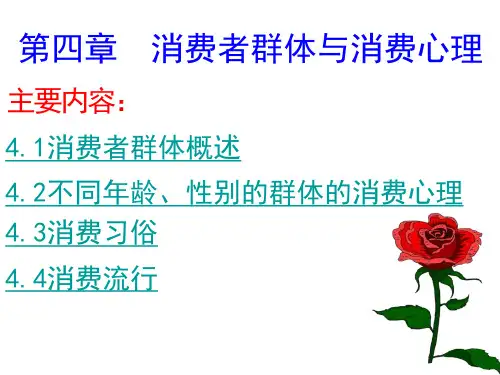 消费者群体与消费心理课件