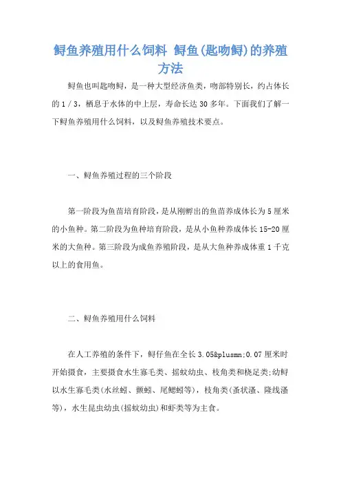 鲟鱼养殖用什么饲料 鲟鱼(匙吻鲟)的养殖方法