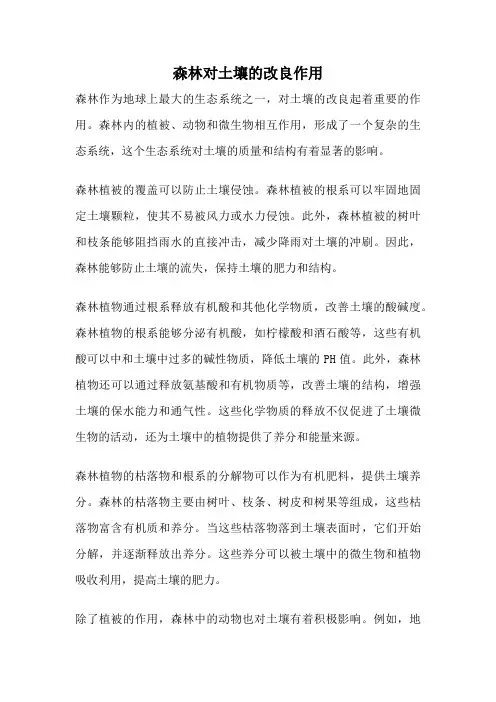 森林对土壤的改良作用