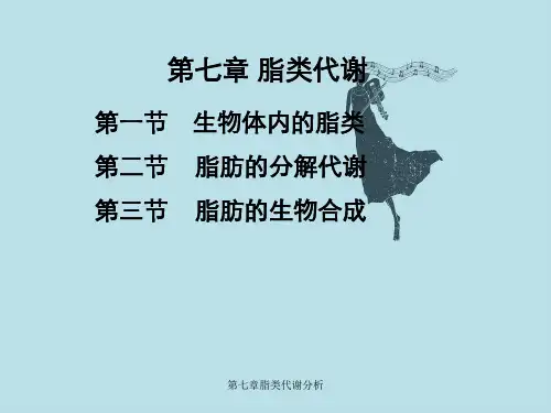 第七章脂类代谢分析