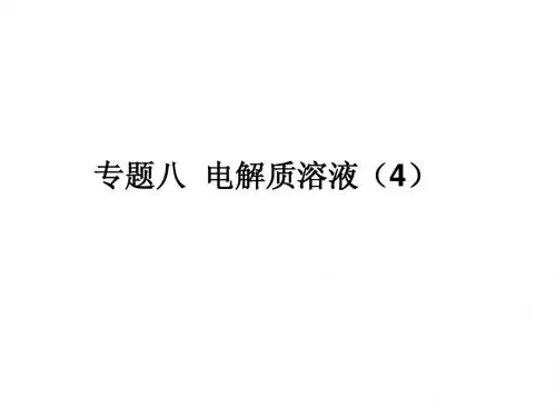邳州市第二中学高三化学专题复习专题八电解质溶液(4)课件