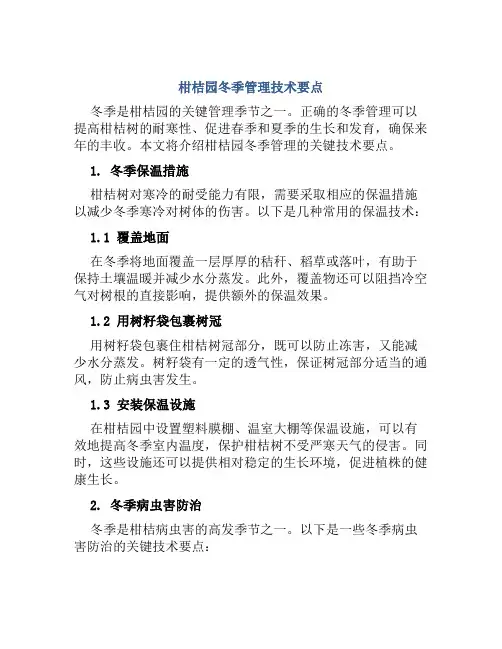 柑桔园冬季管理技术要点