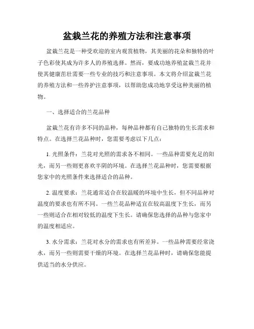 盆栽兰花的养殖方法和注意事项
