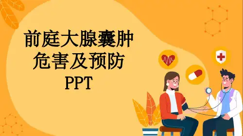 前庭大腺囊肿危害及预防PPT