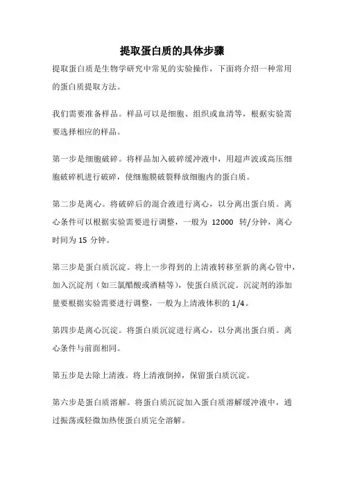 提取蛋白质的具体步骤