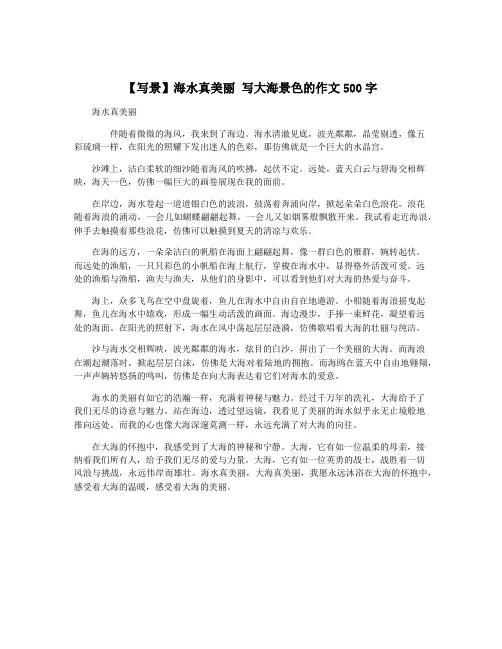 【写景】海水真美丽 写大海景色的作文500字