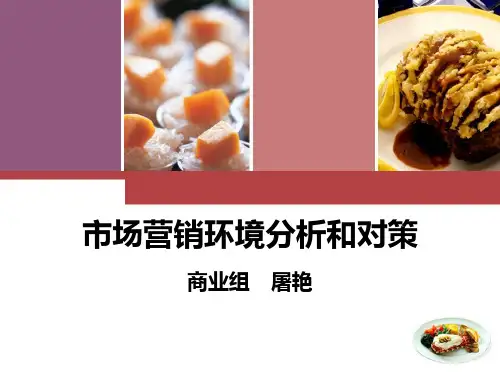 市场营销环境分析和对策