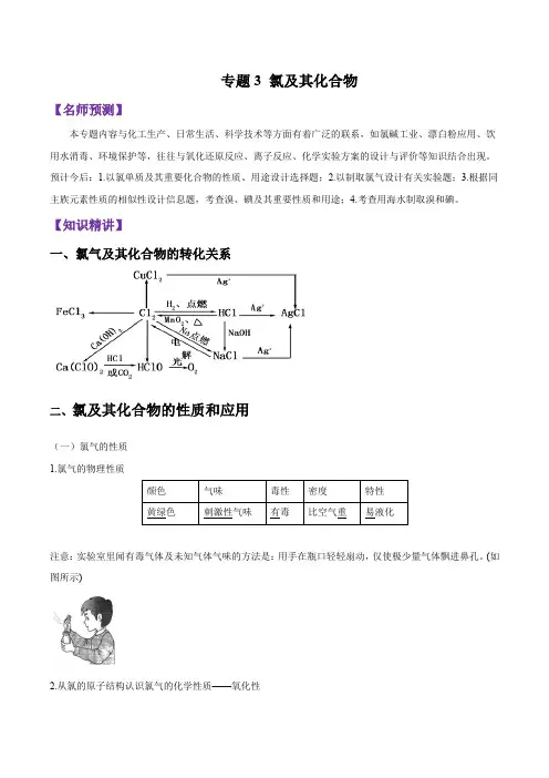专题3.3 氯及其化合物 (解析版)