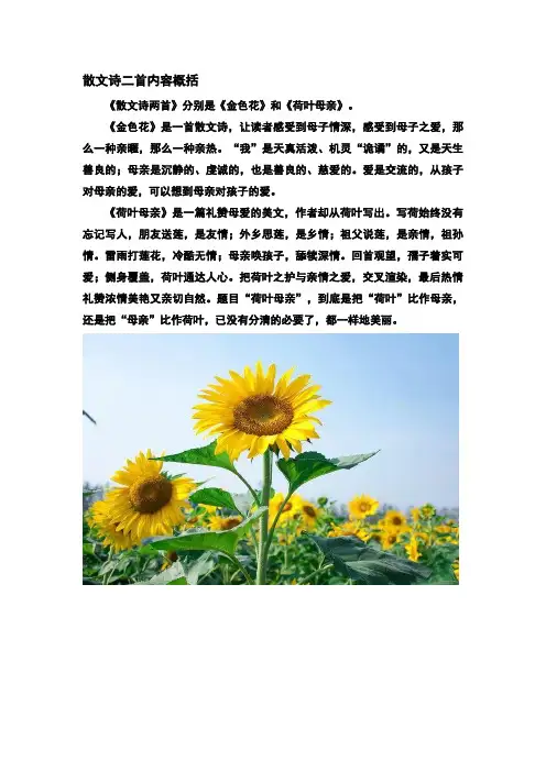 散文诗二首内容概括