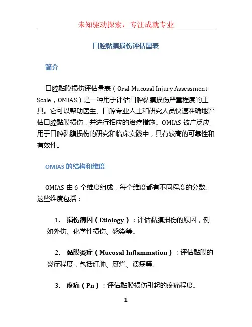 口腔黏膜损伤评估量表 (2)
