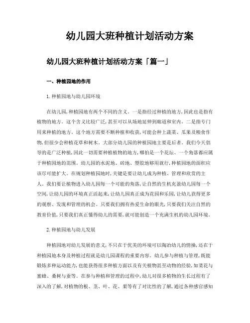 幼儿园大班种植计划活动方案