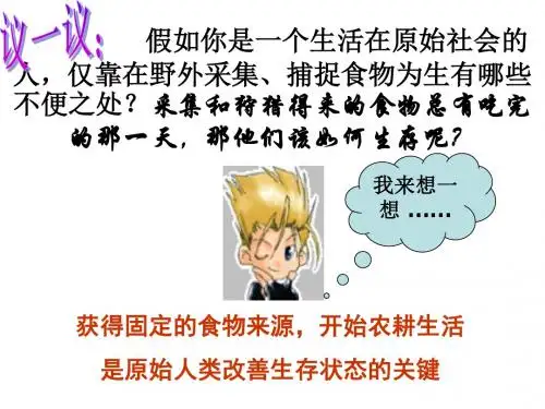 新人教版七年级历史上册第二节原始农耕生活课件
