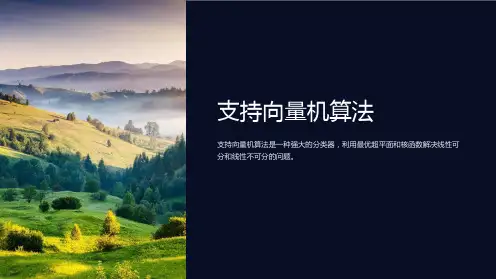 《支持向量机算法》课件