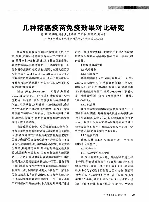 几种猪瘟疫苗免疫效果对比研究