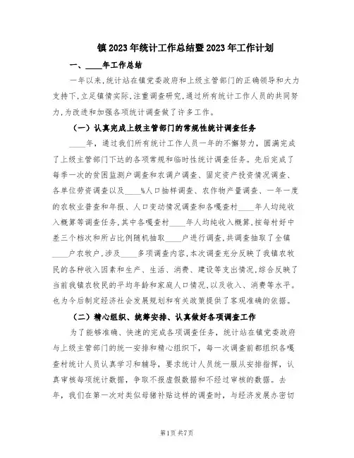 镇2023年统计工作总结暨2023年工作计划(2篇)