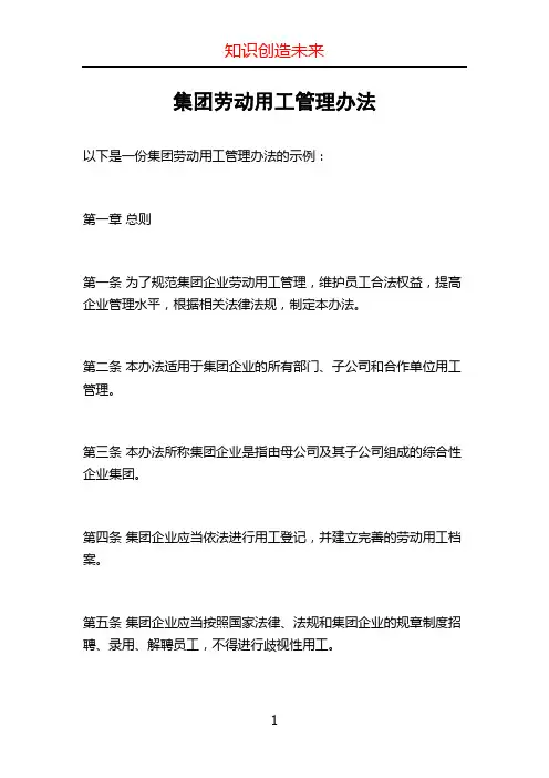 集团劳动用工管理办法