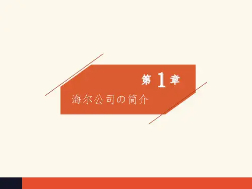 海尔公司税务筹划