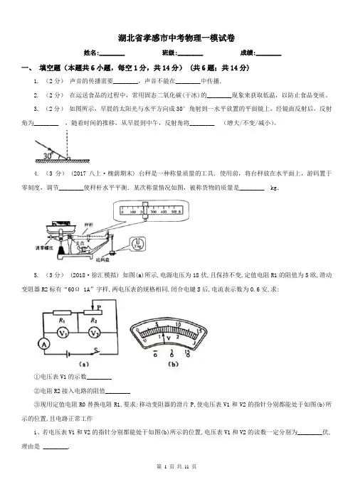 湖北省孝感市中考物理一模试卷