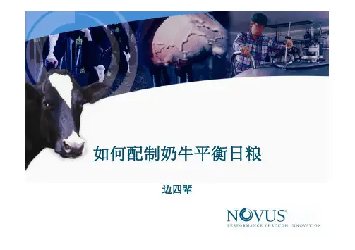 如何配制奶牛平衡日粮