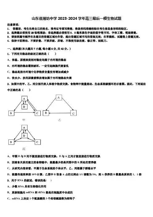 山东省潍坊中学2023-2024学年高三最后一模生物试题含解析