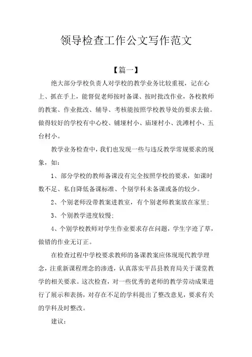领导检查工作公文写作范文