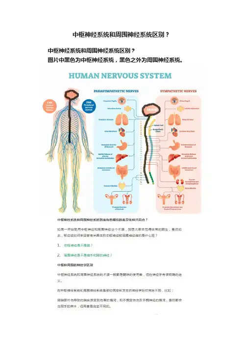 中枢神经系统和周围神经系统区别？